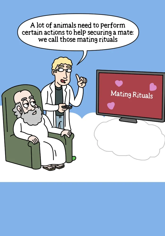 Adventures Of God - Chapter 541 - Page 2