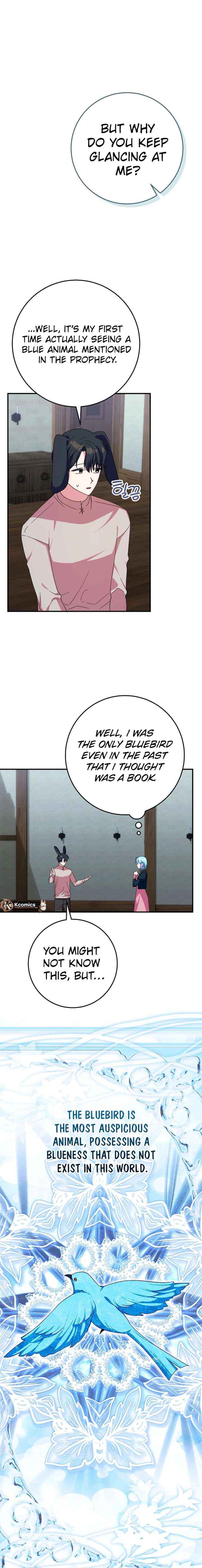 Bluebird Lady and The White Lion Family - Chapter 67 - Page 1