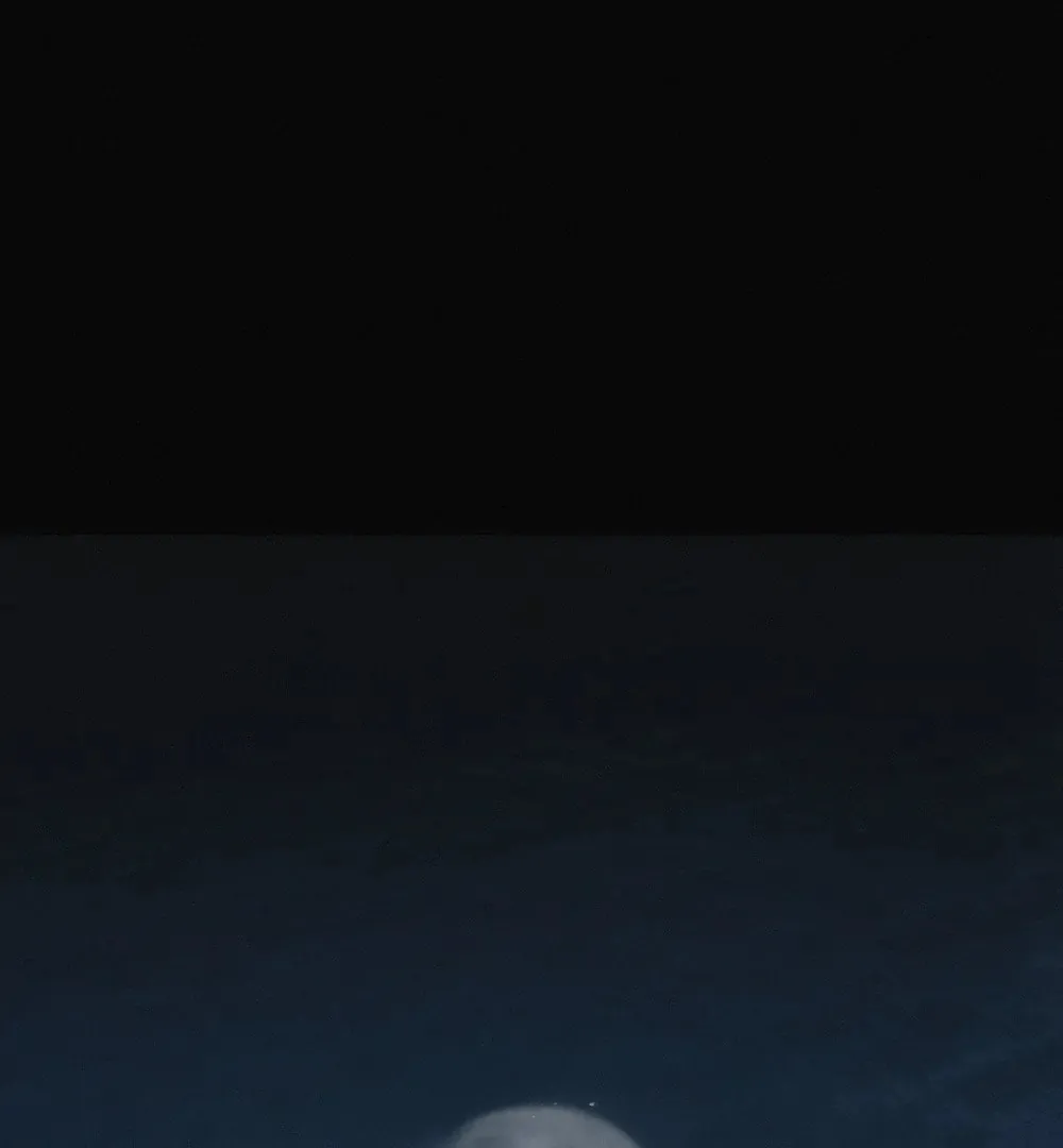 Catch Me If You Can - Chapter 0.1 - Page 2