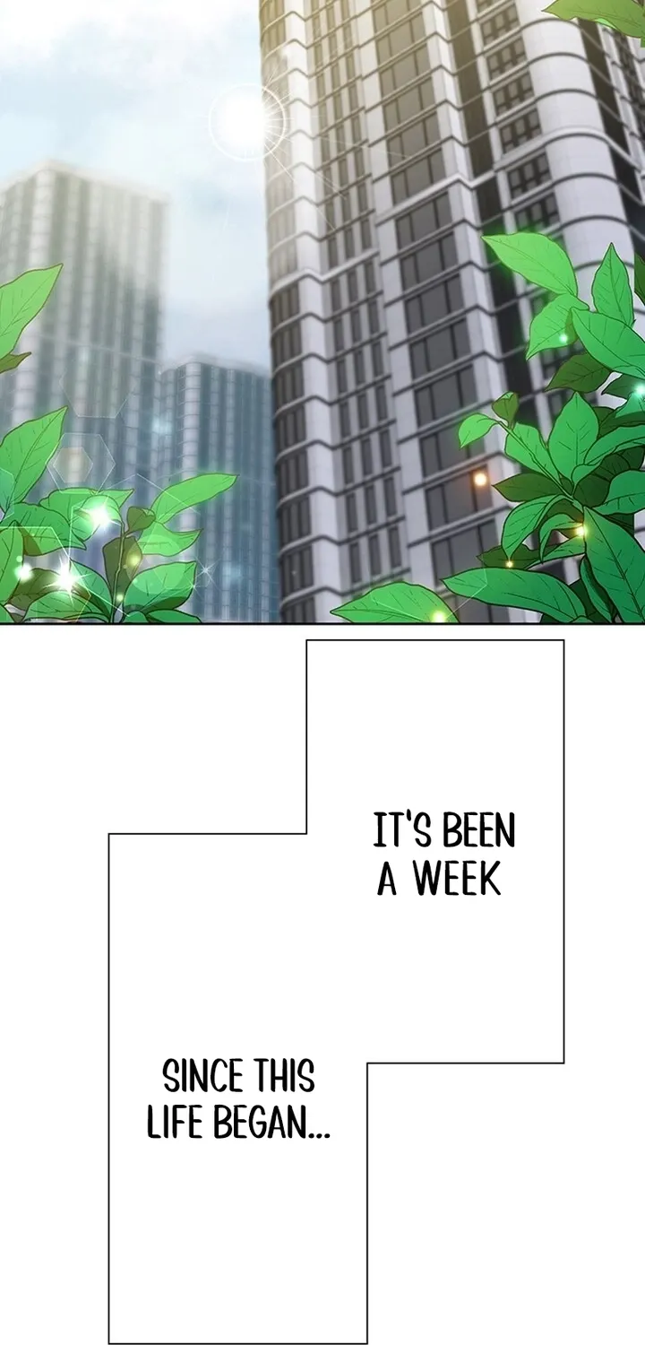 Contract Marriage: Divorce When We Fall in Love - Chapter 8 - Page 2