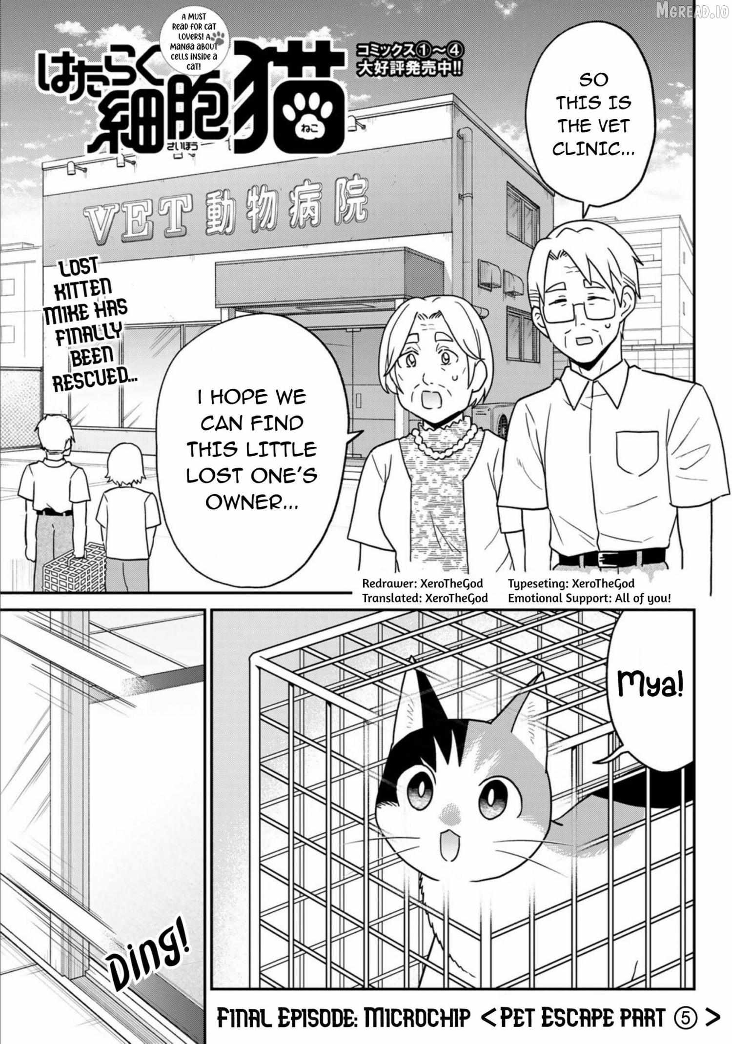 Hataraku Saibou Neko - Chapter 25 - Page 1