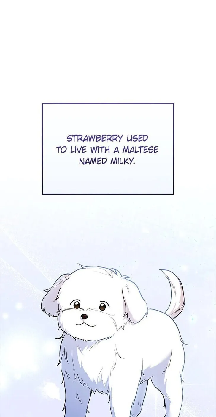 Hello, Mr. Veterinarian! - Chapter 32 - Page 1