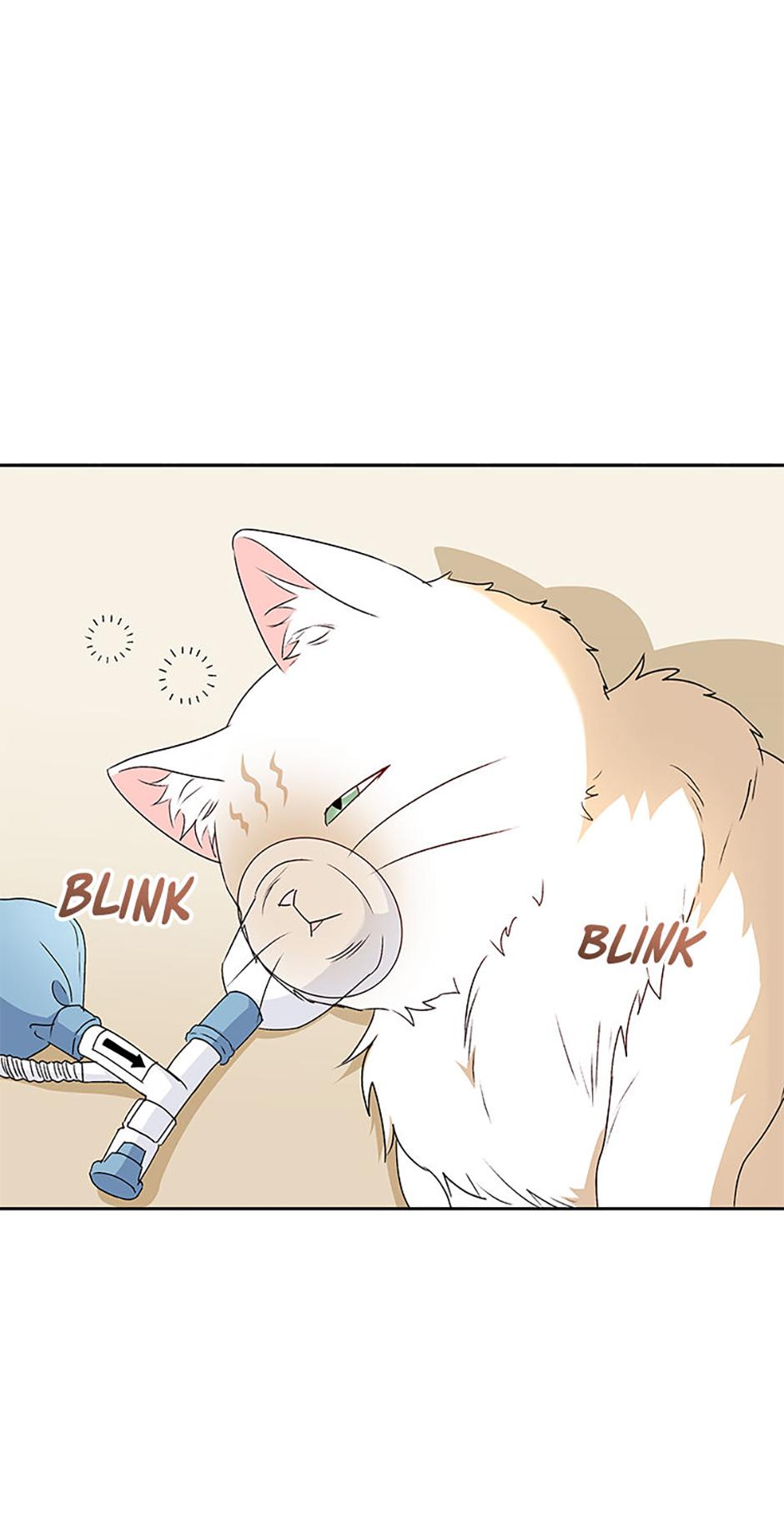 Hello! Veterinarian! - Chapter 55 - Page 1