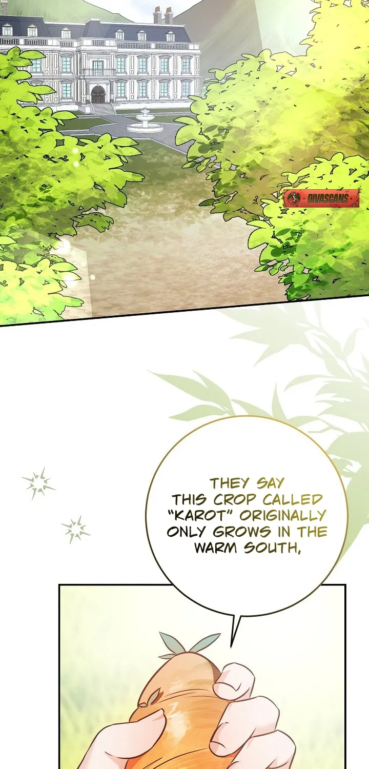 How to Survive as the Monster Duke’s Wife - Chapter 13 - Page 2