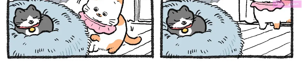 Neko oji: Salaryman reincarnated as a kitten! - Chapter 584 - Page 2