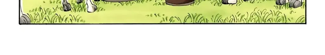 One Piece (Official Colored) - Chapter 176 - Page 2