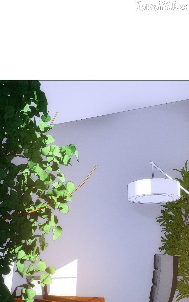 Rebirth - Chapter 261 - Page 1