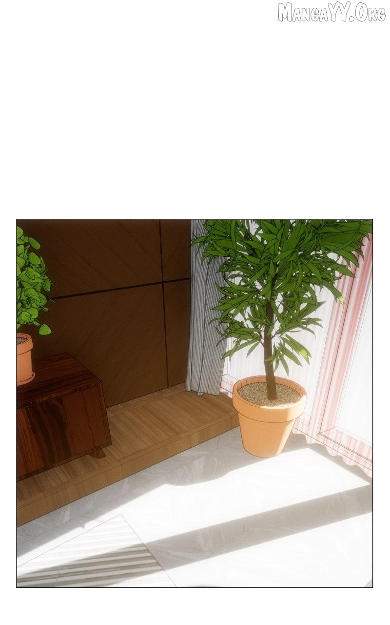 Rebirth - Chapter 262 - Page 1