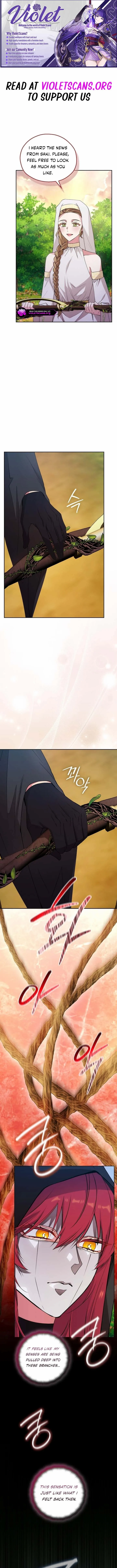 Reminiscence Adonis - Chapter 303 - Page 1