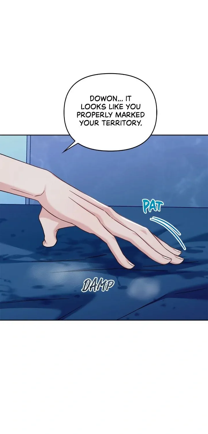 Secha Replica - Chapter 36 - Page 1