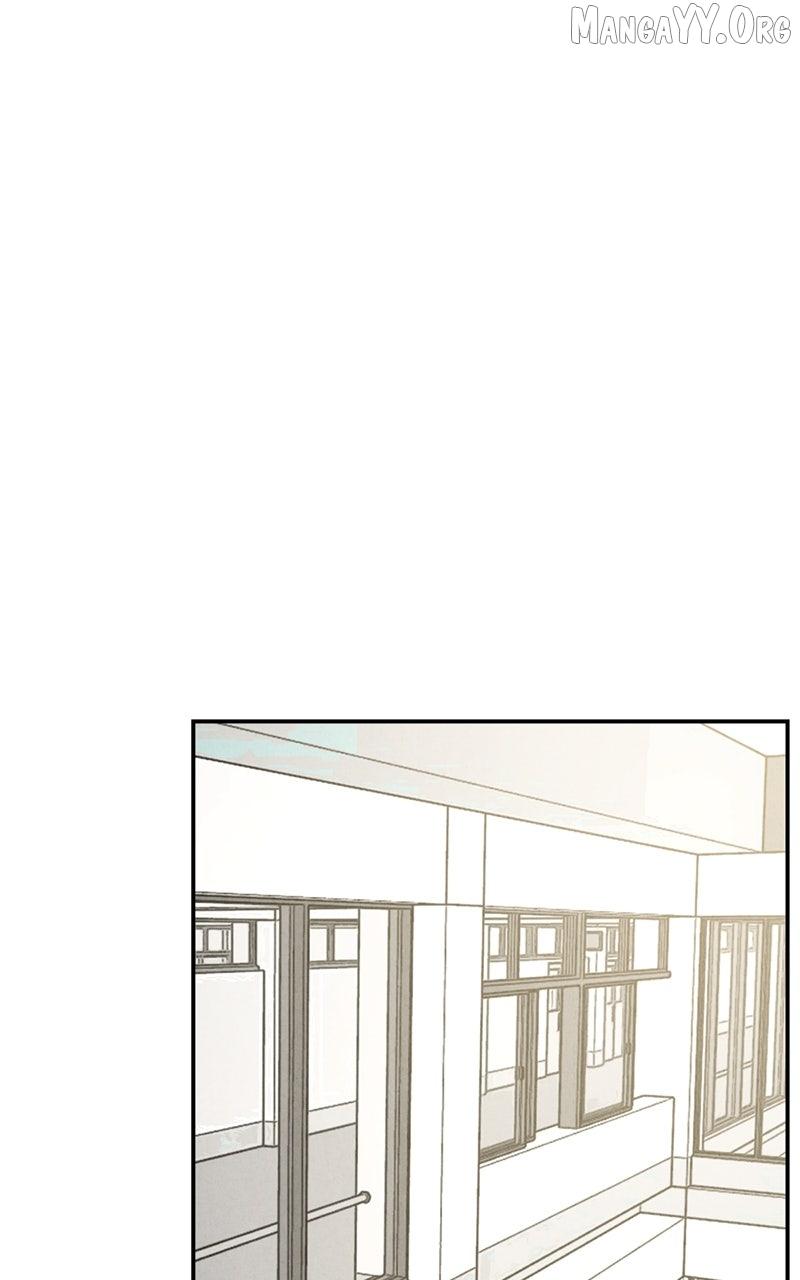 Shell - Chapter 19 - Page 1