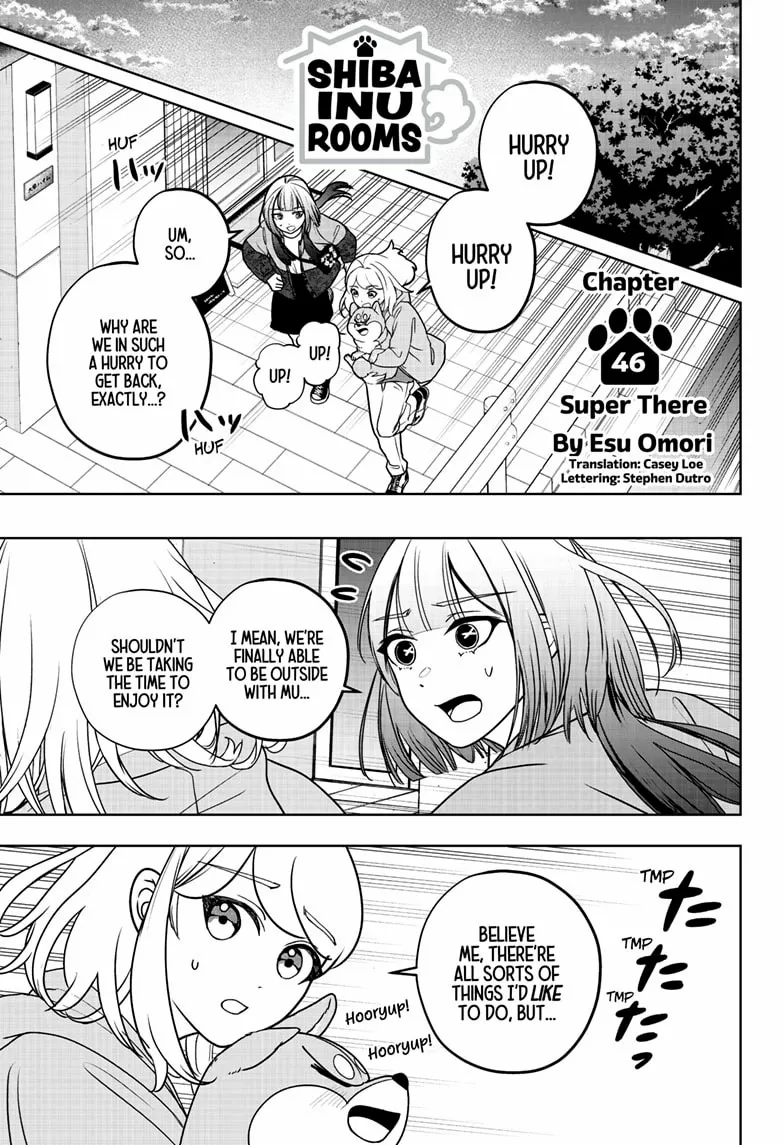 Shiba Inu Rooms - Chapter 46 - Page 1