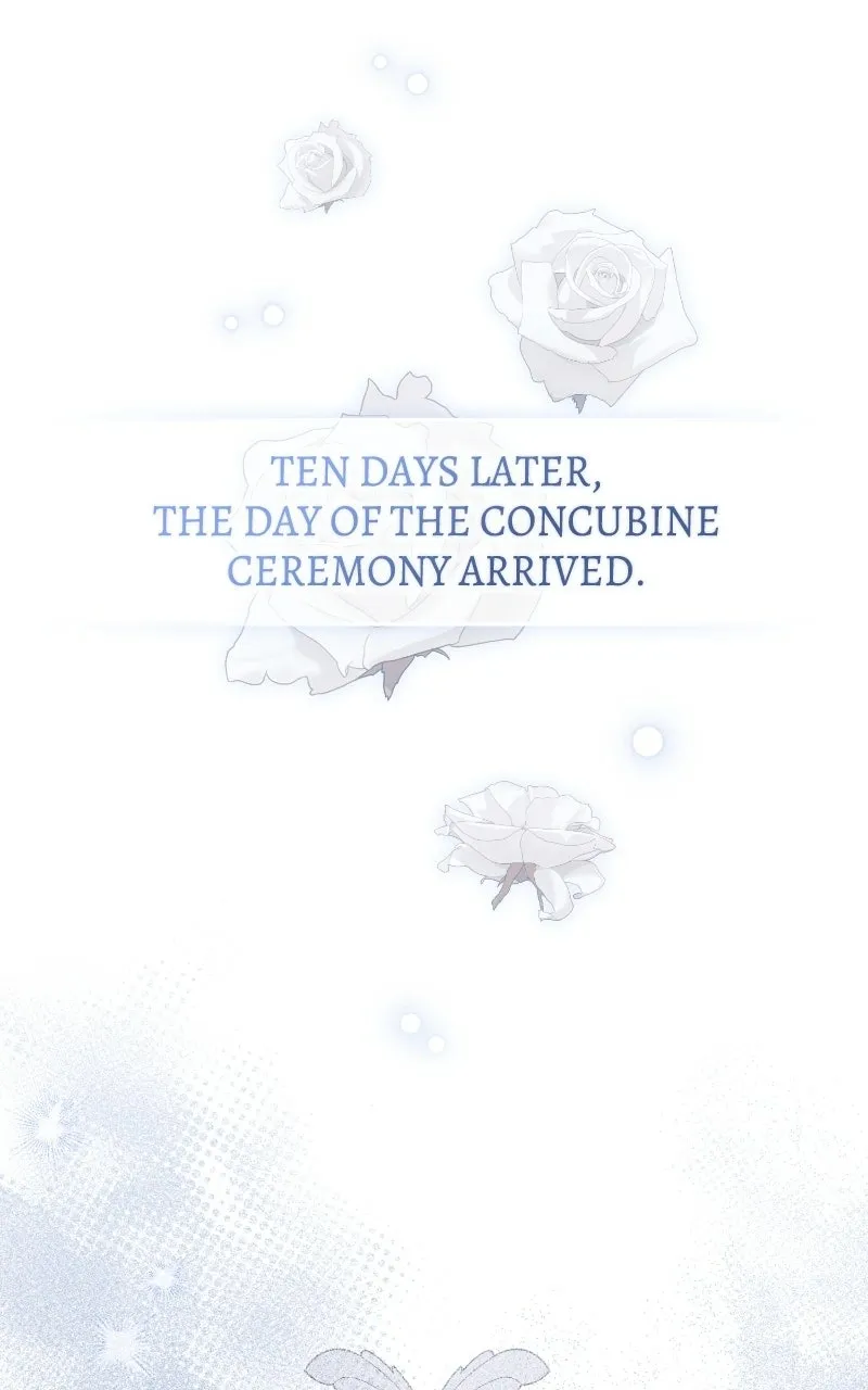 The Acting Empress Still Spends the First Night - Chapter 14 - Page 1