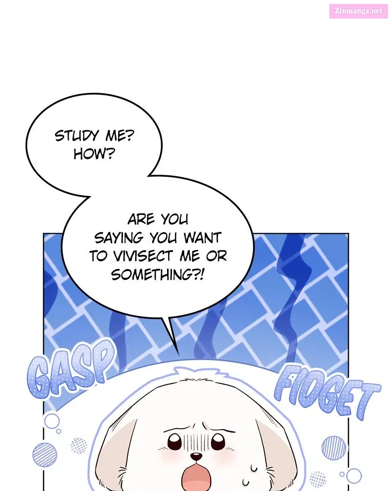 The Emperor's Puppy - Chapter 20 - Page 1