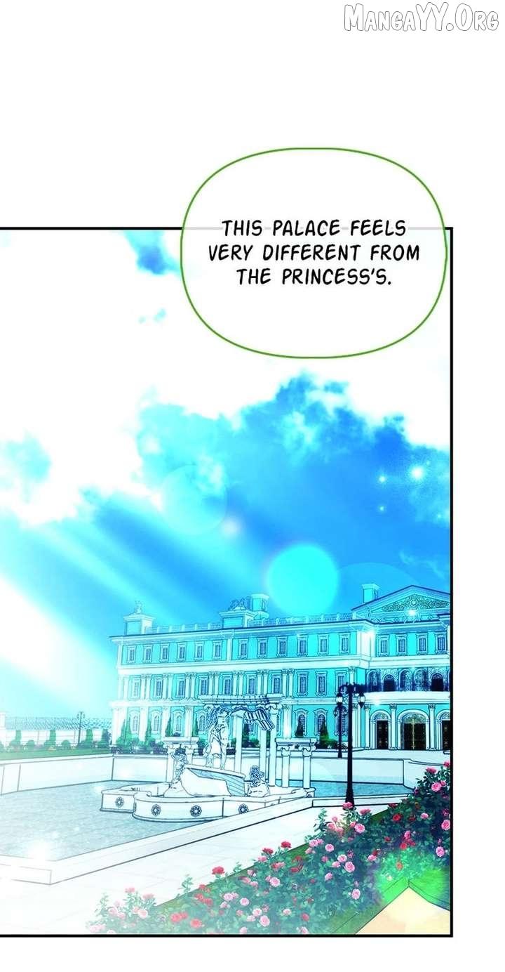 The Fake Rides in a Flower Kiln - Chapter 81 - Page 1