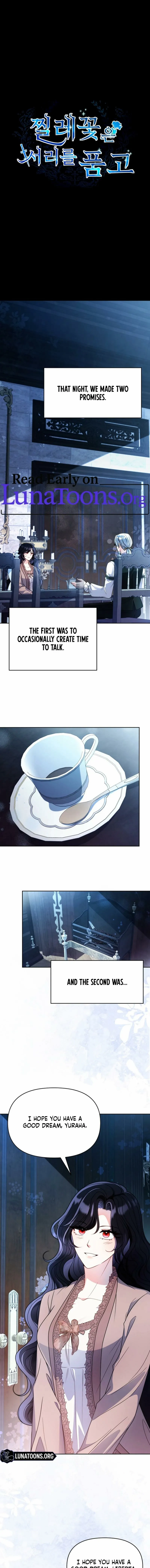 The Wild Rose Embraces the Frost - Chapter 17 - Page 1