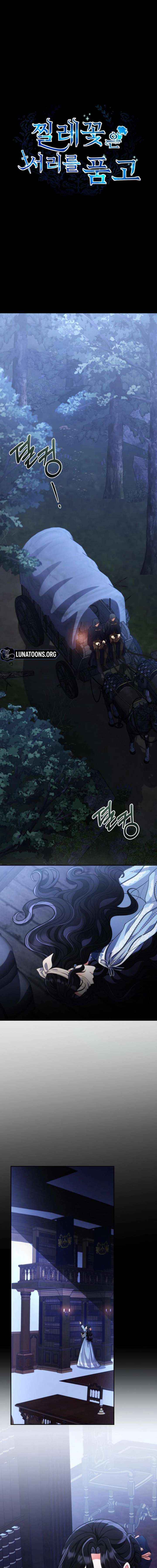 The Wild Rose Embraces the Frost - Chapter 33 - Page 1