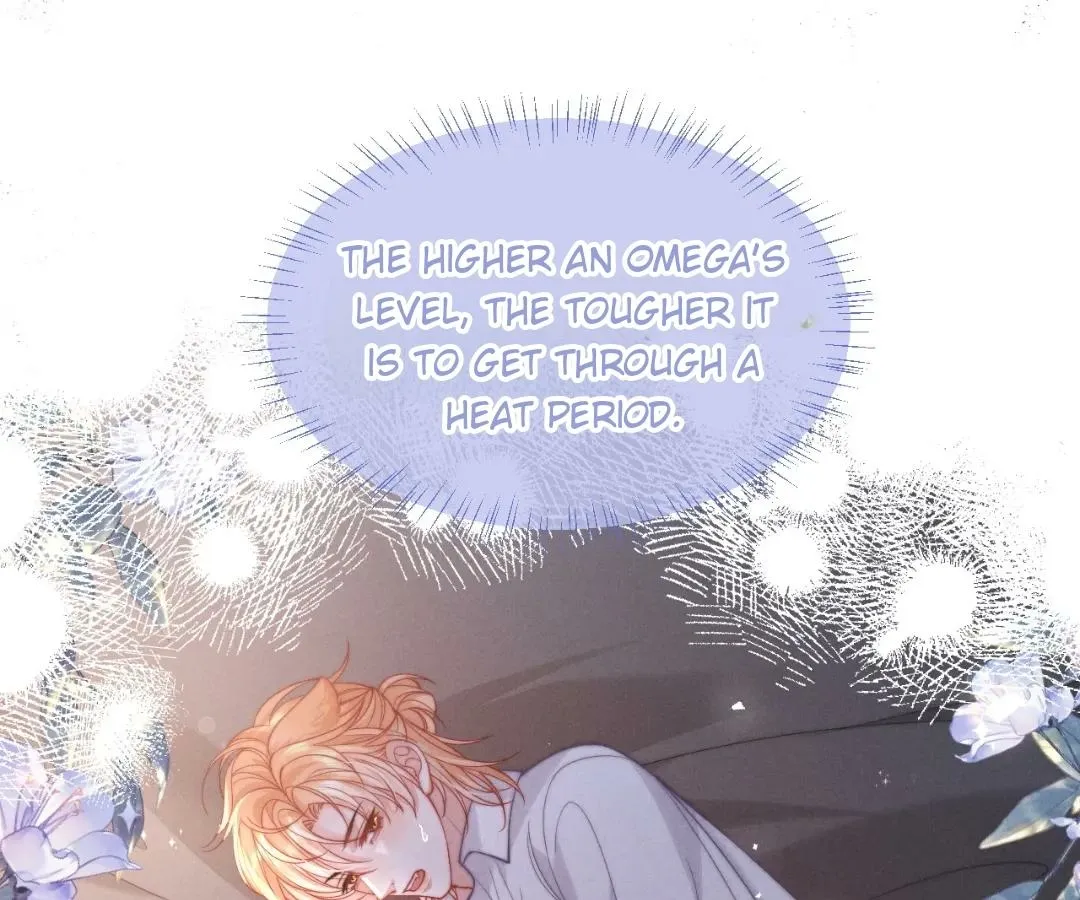 Toxic Adoration - Chapter 39 - Page 1