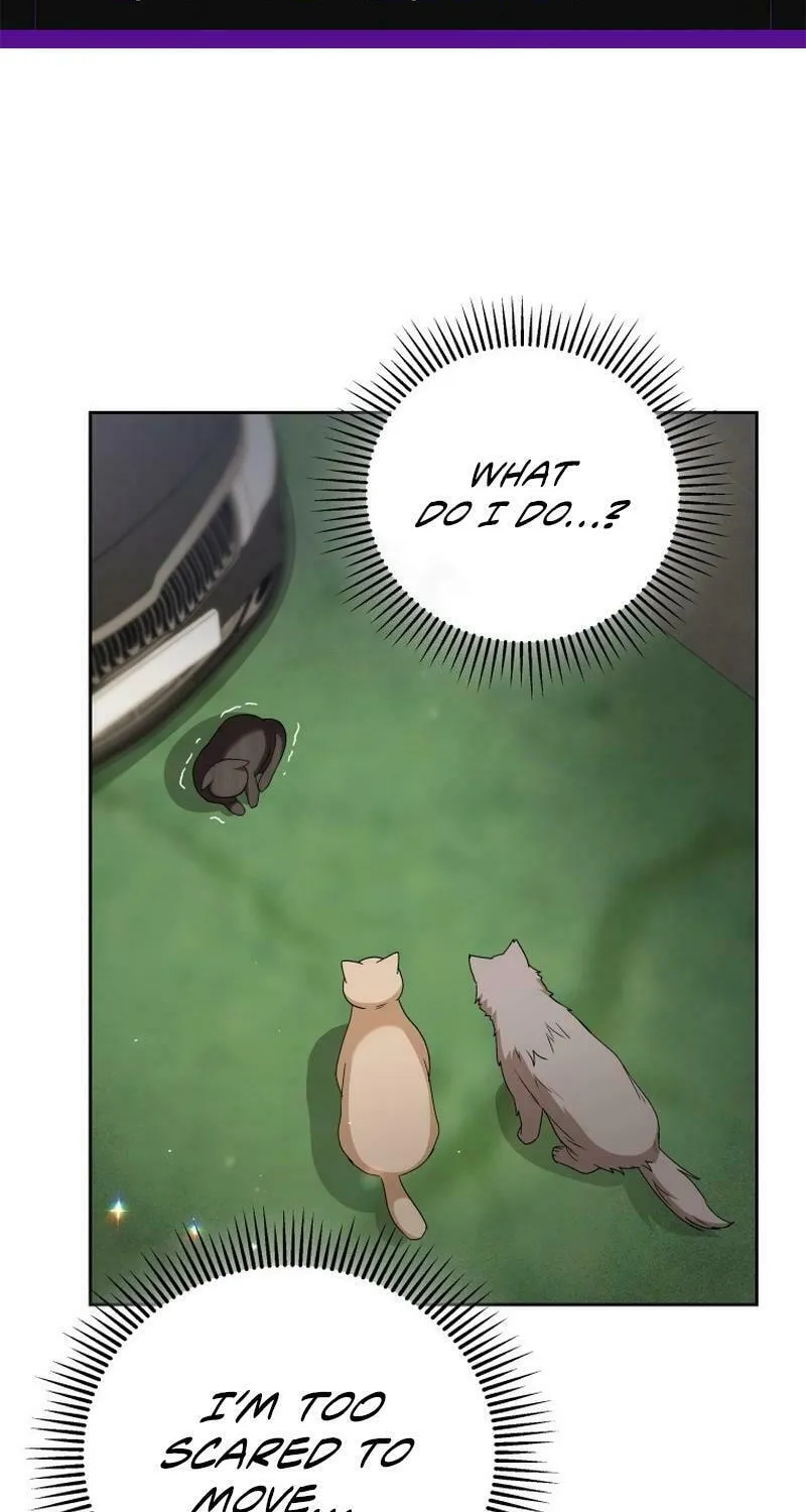 Veterinarian! Hello? - Chapter 77 - Page 2