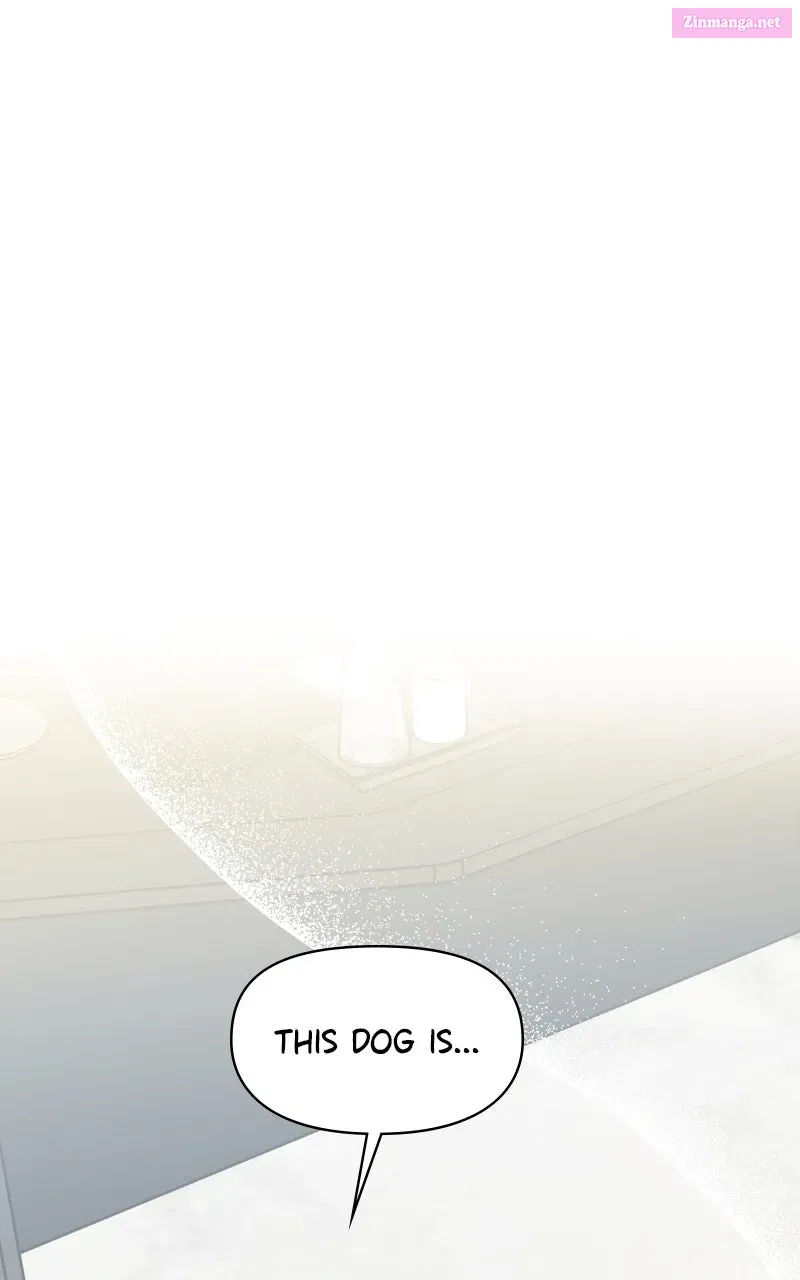 Woke Up as the CEO’s Dog - Chapter 4 - Page 1